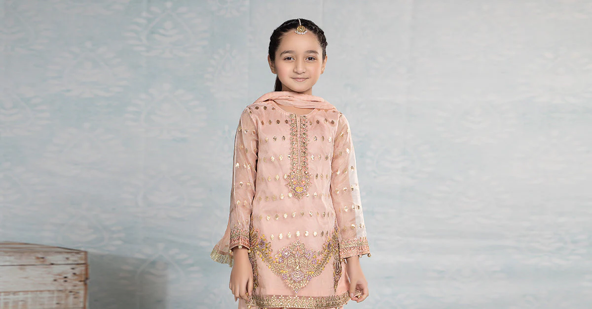 3 Piece Embroidered Organza Suit - Image 8