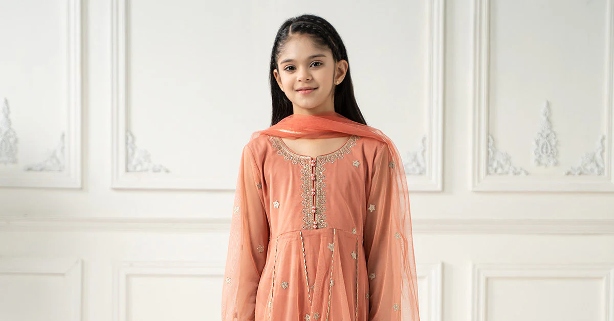 3 Piece Embroidered Polyester Net Suit - Image 6