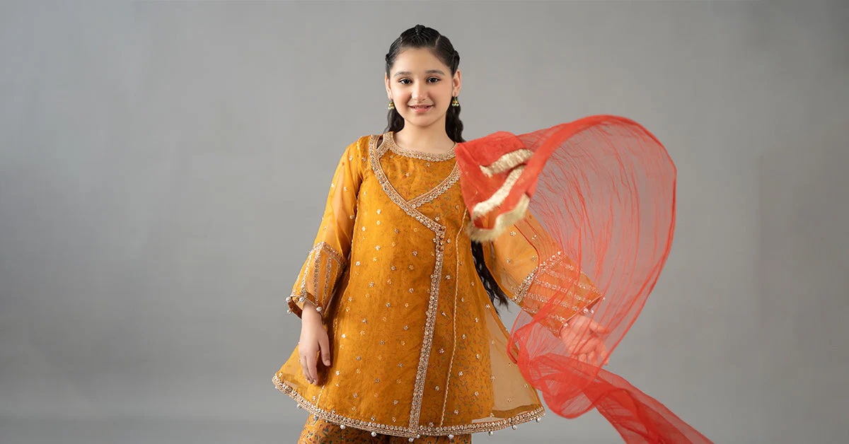 3 Piece Embroidered Poly Organza Suit - Image 8