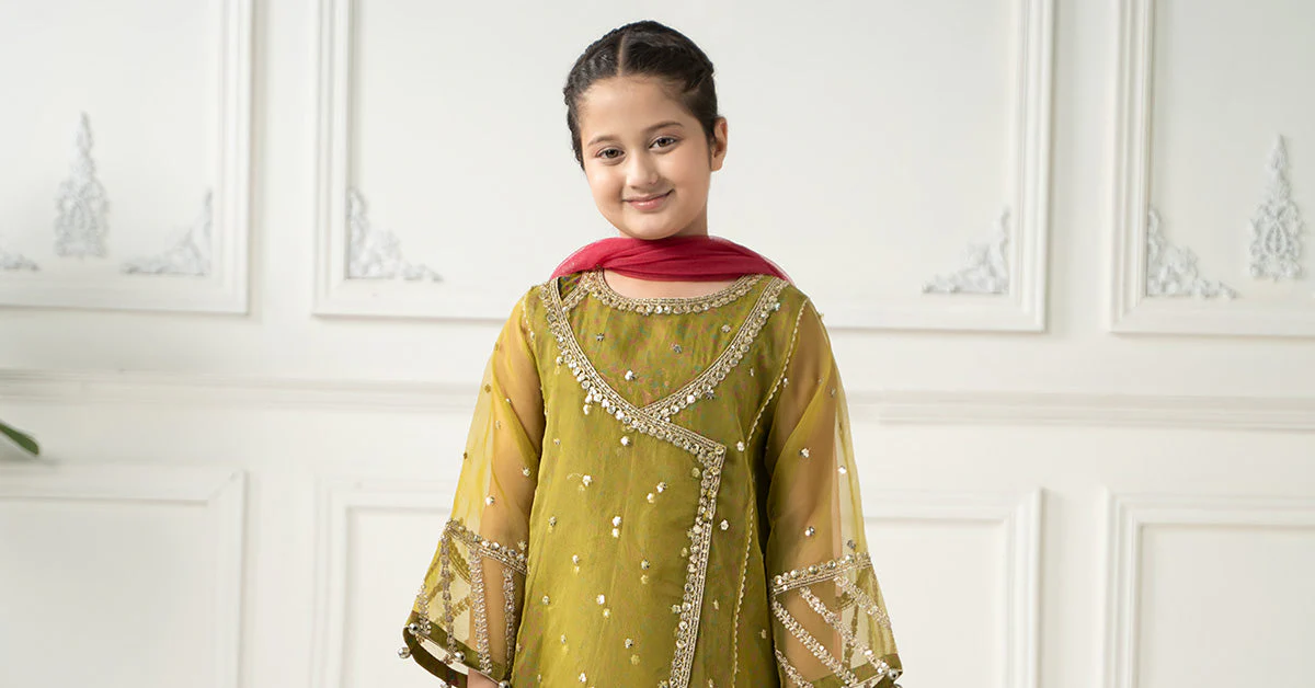 3 Piece Embroidered Poly Organza Suit - Image 7