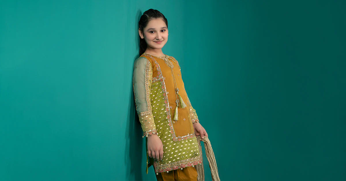 3 Piece Embroidered Organza Suit - Image 7