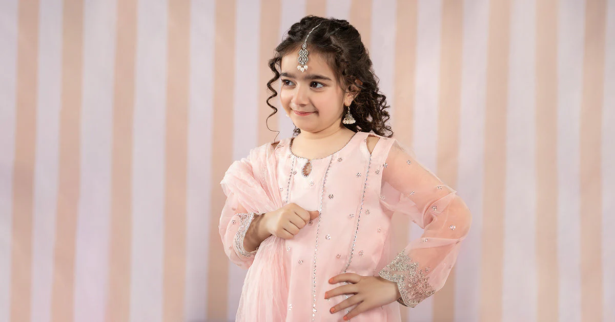 3 Piece Embroidered Organza Suit - Image 8