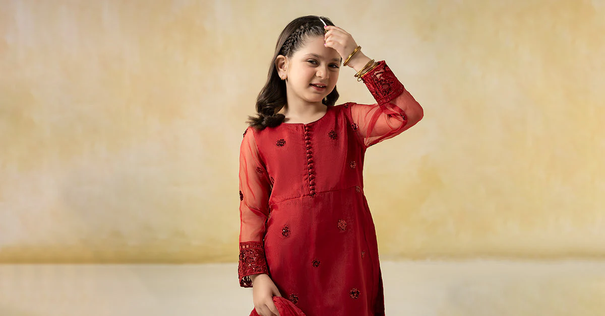 3 Piece Embroidered Organza Suit - Image 7