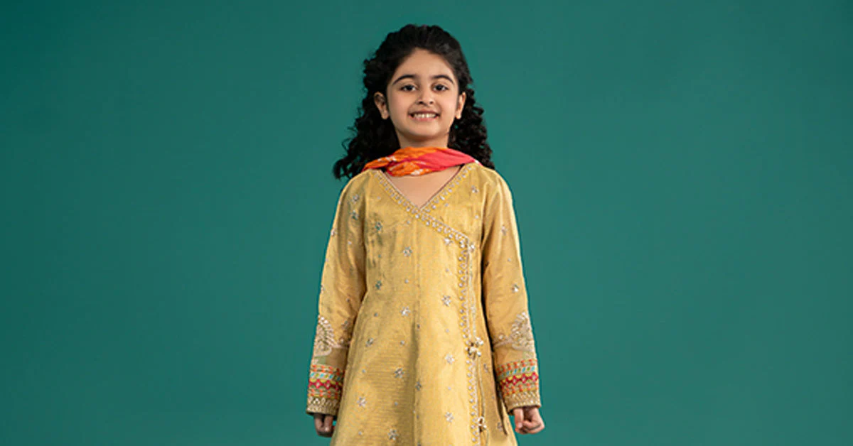3 Piece Embroidered Cotton Zari Net Suit - Image 7