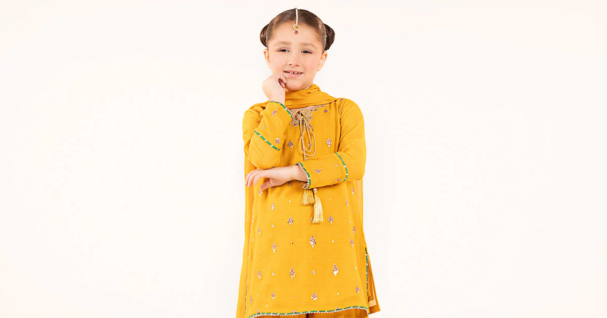 3 Piece Embroidered Cotton Net Suit - Image 8