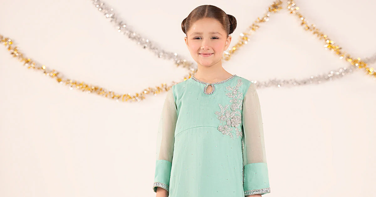 2 Piece Embroidered Organza Suit - Image 8