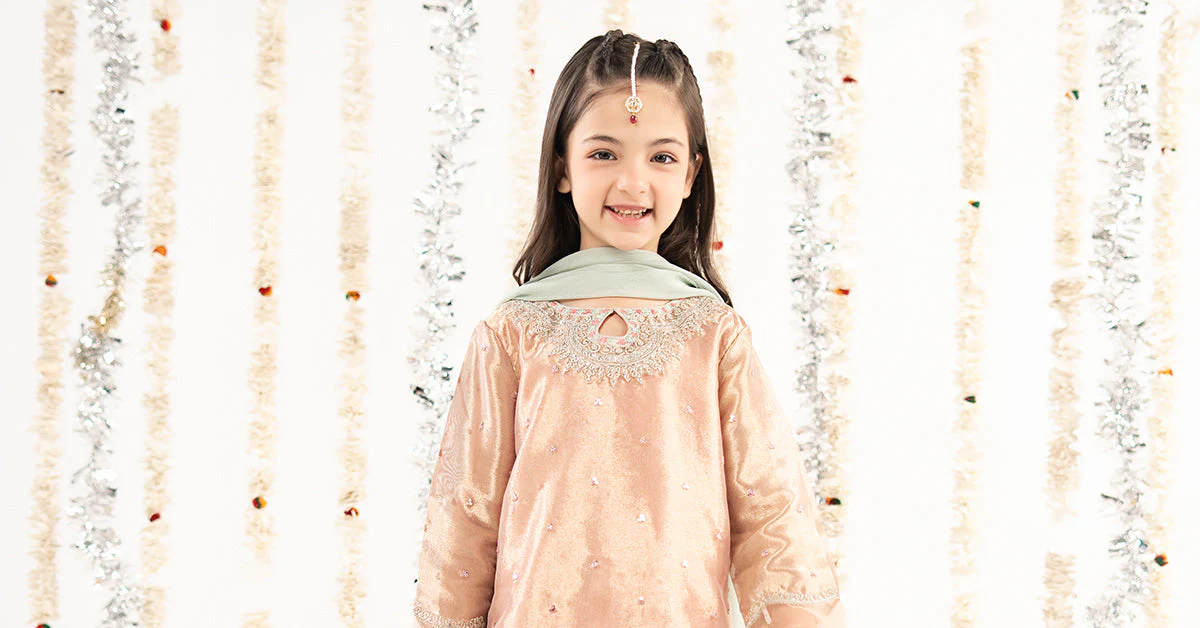 3 Piece Embroidered Tissue Suit - Image 8