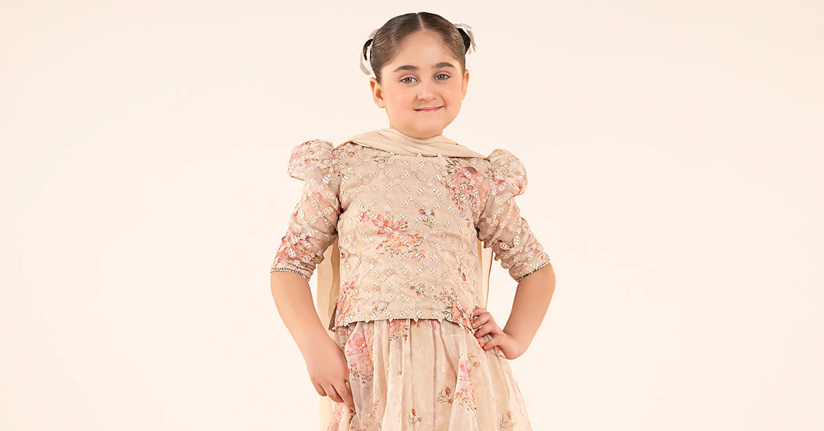 3 Piece Embroidered Organza Suit - Image 9