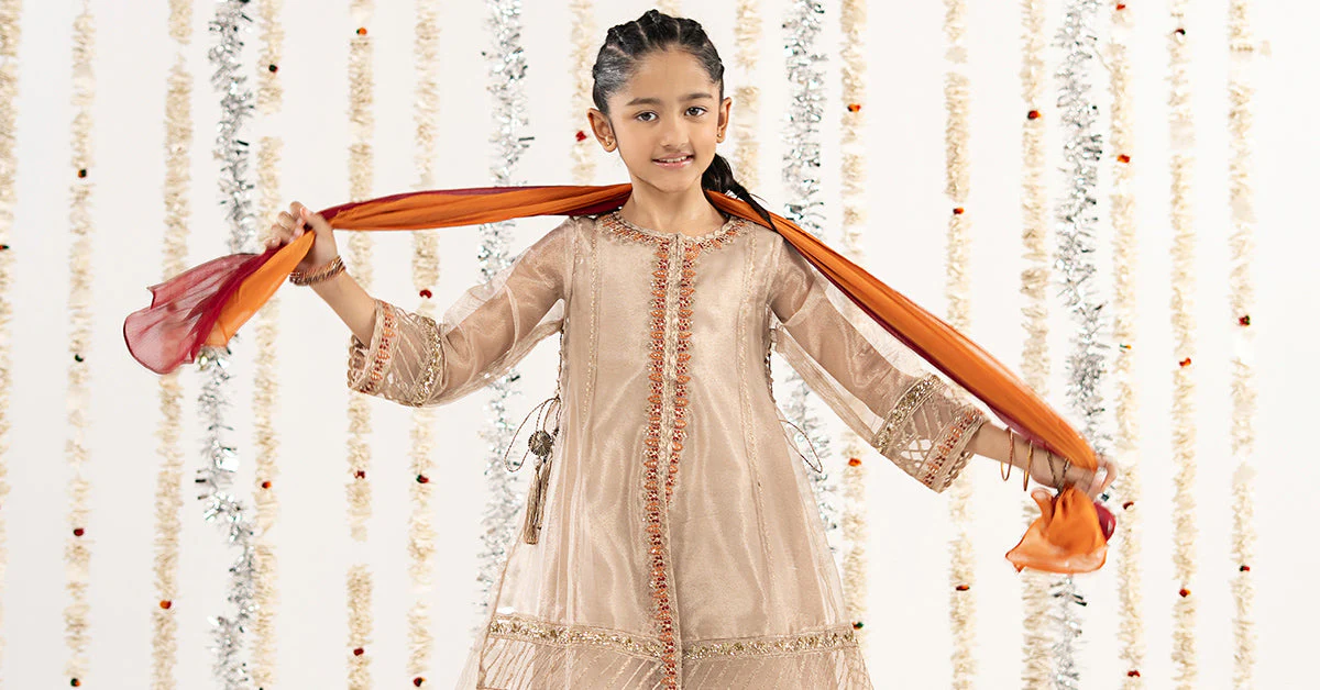 3 Piece Embroidered Zari Net Suit - Image 8