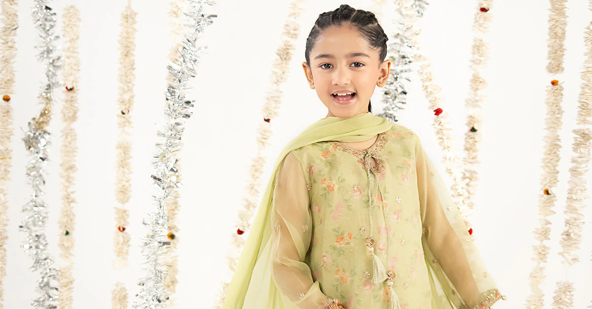 3 Piece Embroidered Organza Suit - Image 9