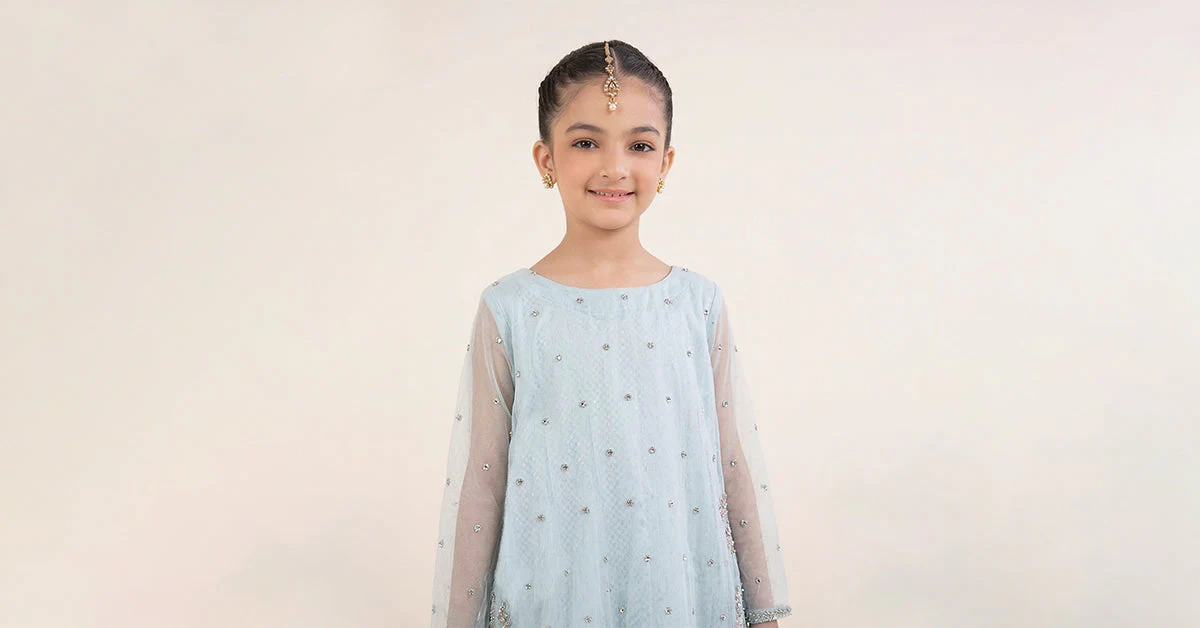 2 Piece Embroidered Organza Suit - Image 6