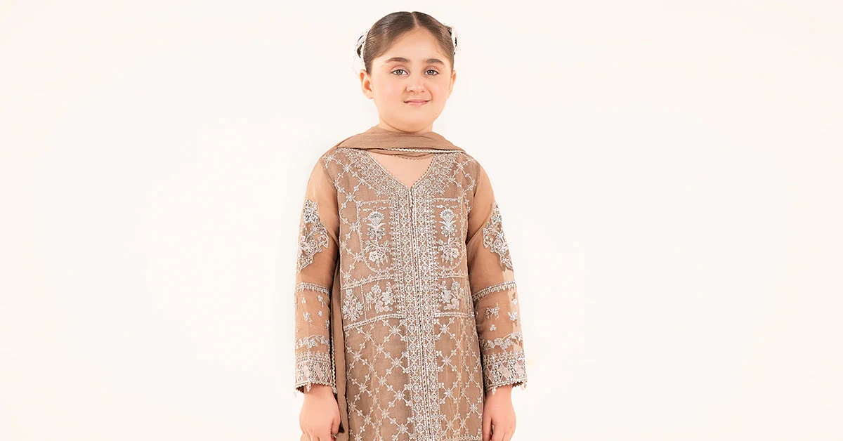 3 Piece Embroidered Organza Suit - Image 8