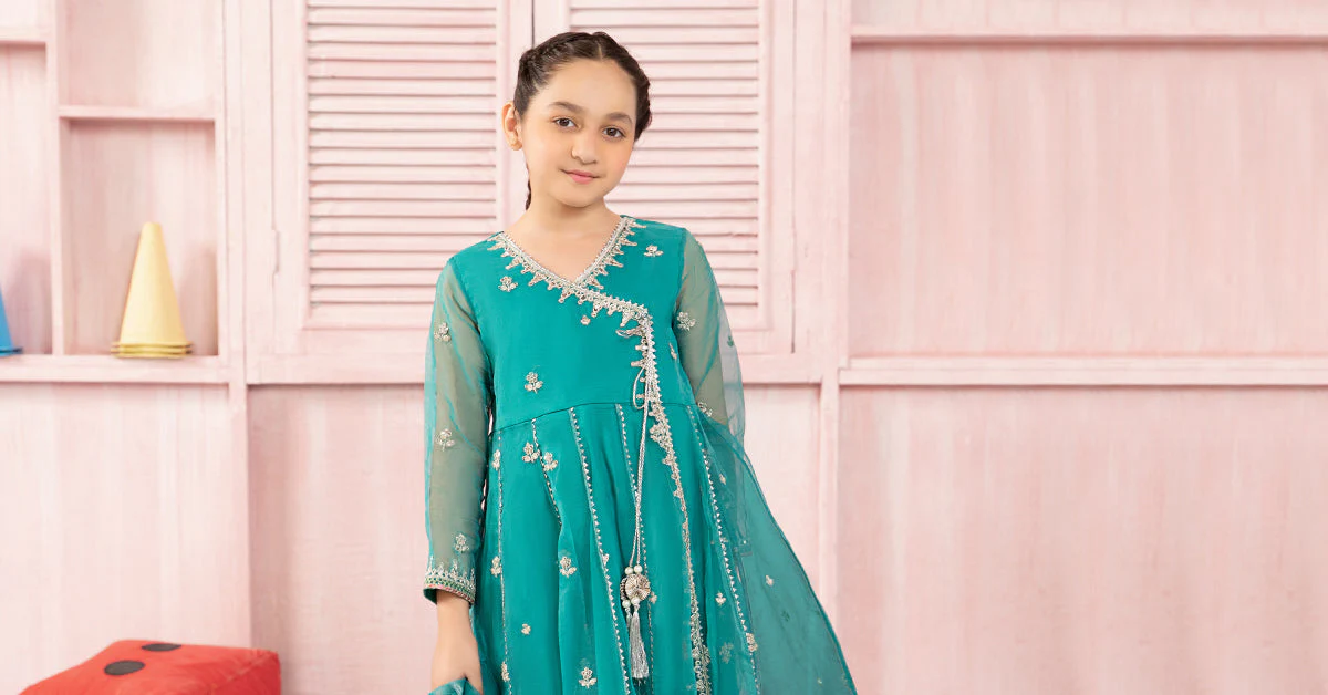 3 Piece Embroidered Organza Suit - Image 7