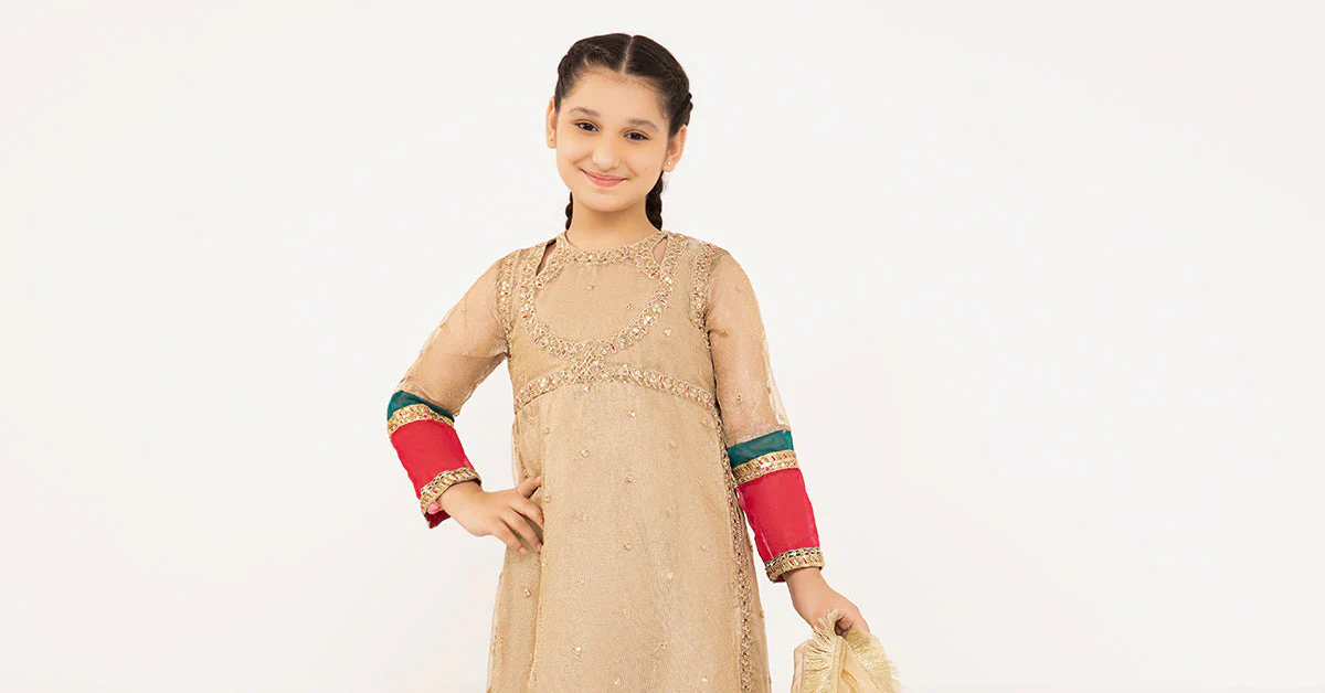 3 Piece Embroidered Zari Net Suit - Image 6