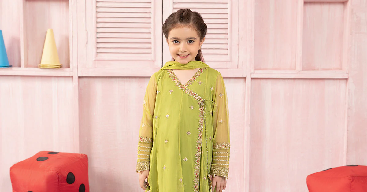 3 Piece Embroidered Net Suit - Image 7