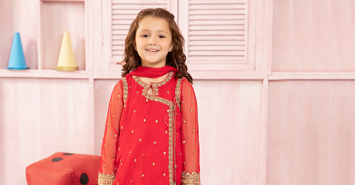3 Piece Embroidered Net Suit - Image 7