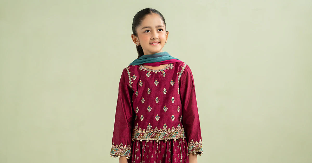 3 Piece Embroidered Silk Net Suit - Image 5