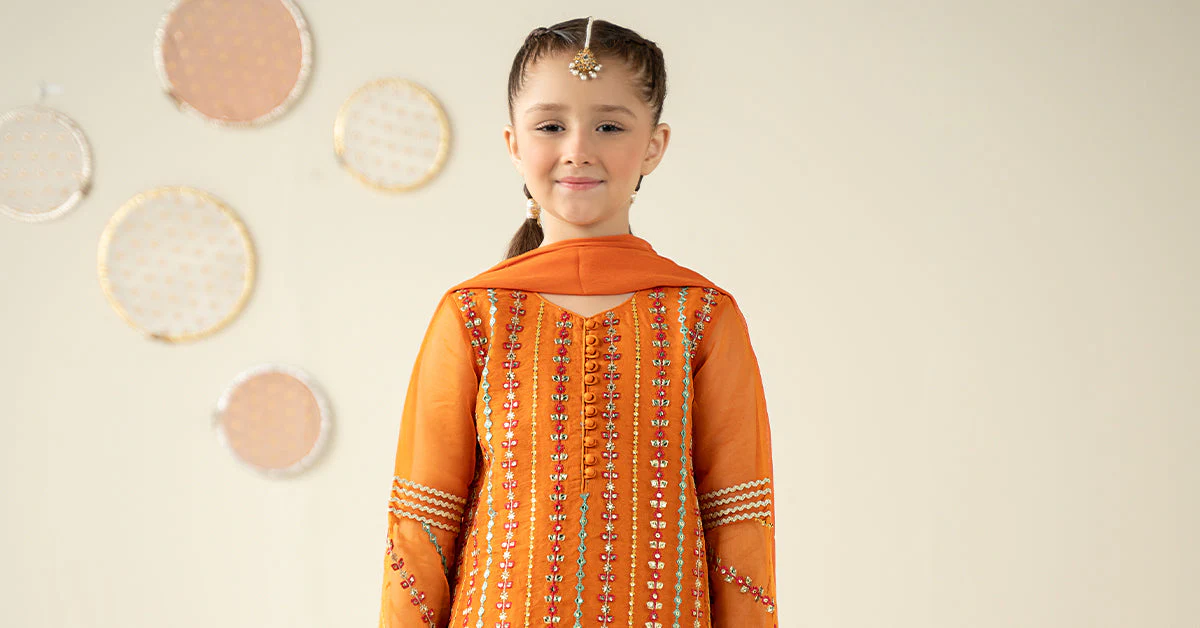 3 Piece Embroidered Organza Suit - Image 8