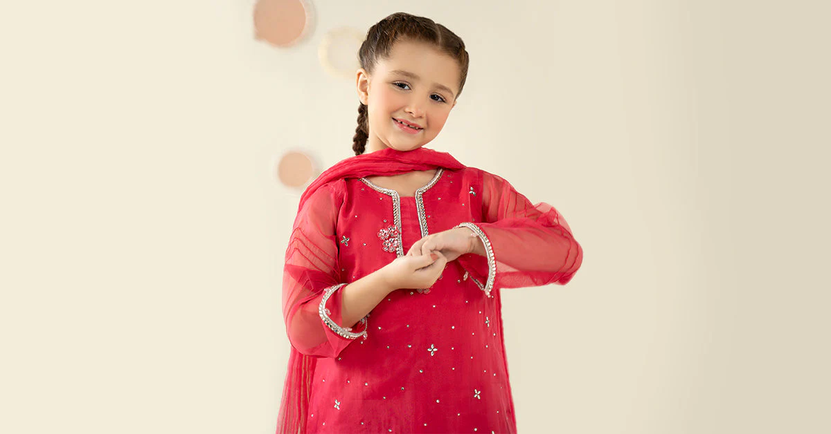 3 Piece Embellished Organza Suit - Image 8