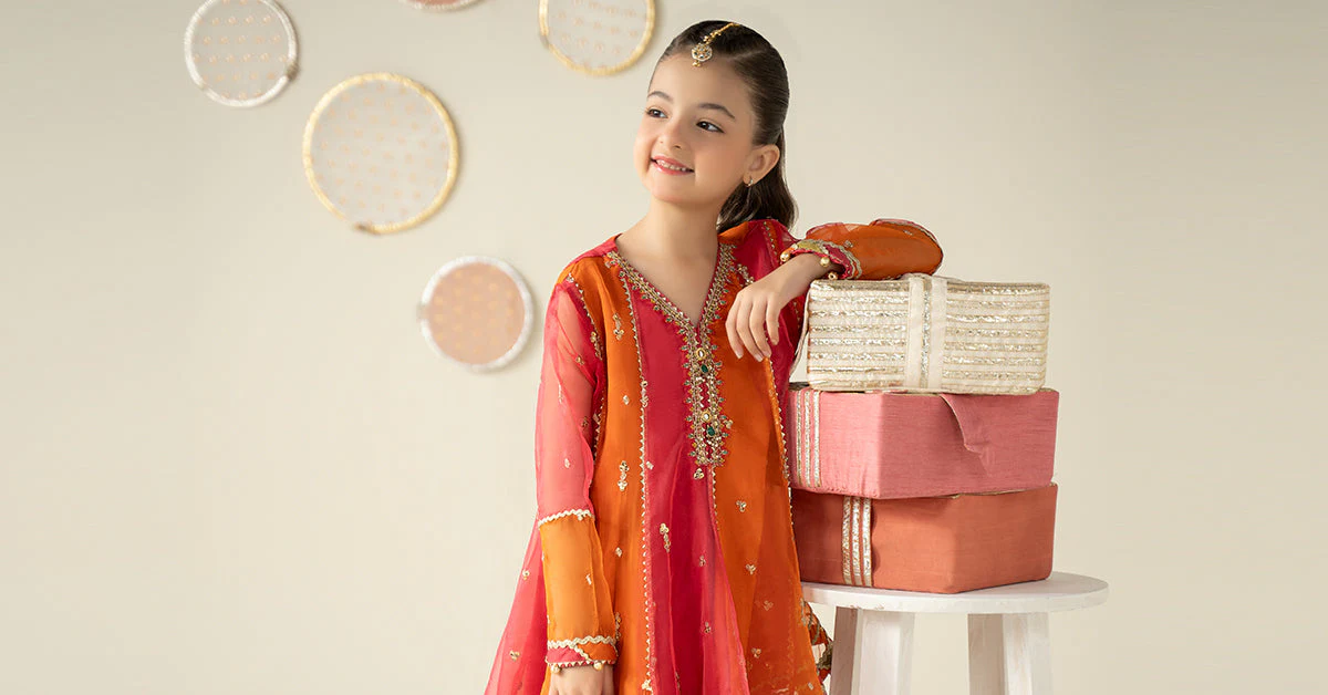 3 Piece Embroidered Organza Suit - Image 10