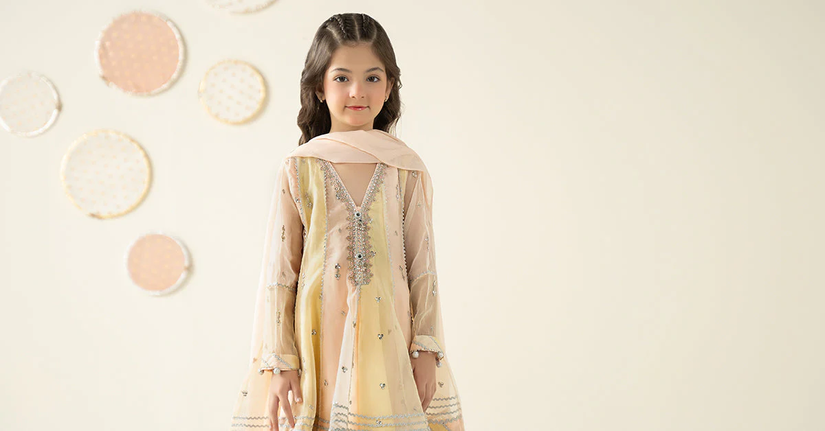 3 Piece Embroidered Organza Suit - Image 2