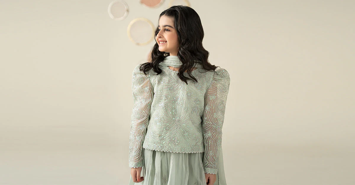 3 Piece Embroidered Organza Suit - Image 9