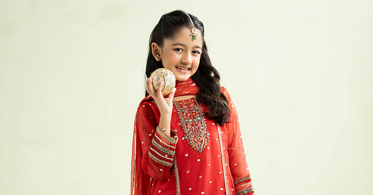 3 Piece Embroidered Lurex Organza Suit - Image 6