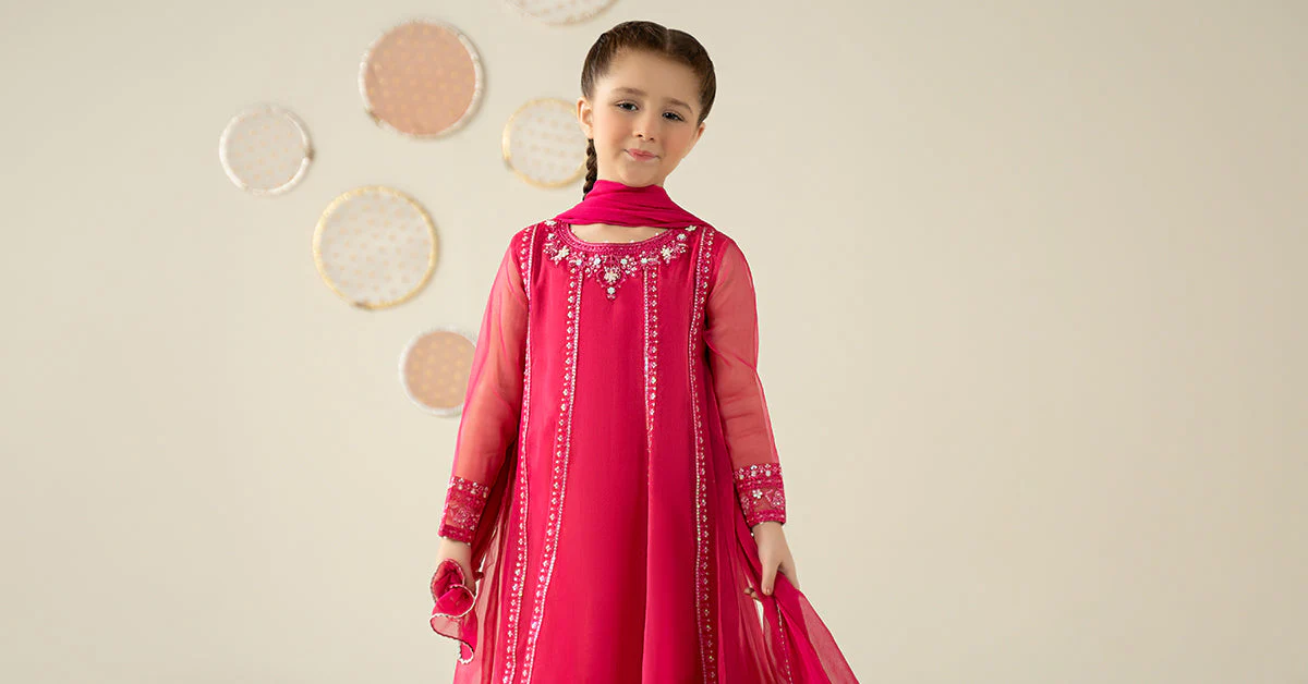 3 Piece Embroidered Organza Suit - Image 9