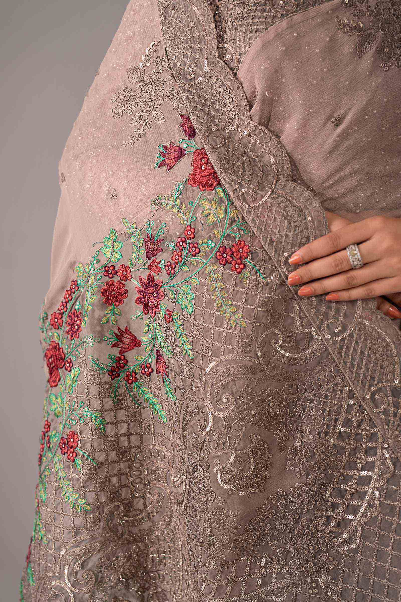 Embroidered Chiffon Saree - Image 7