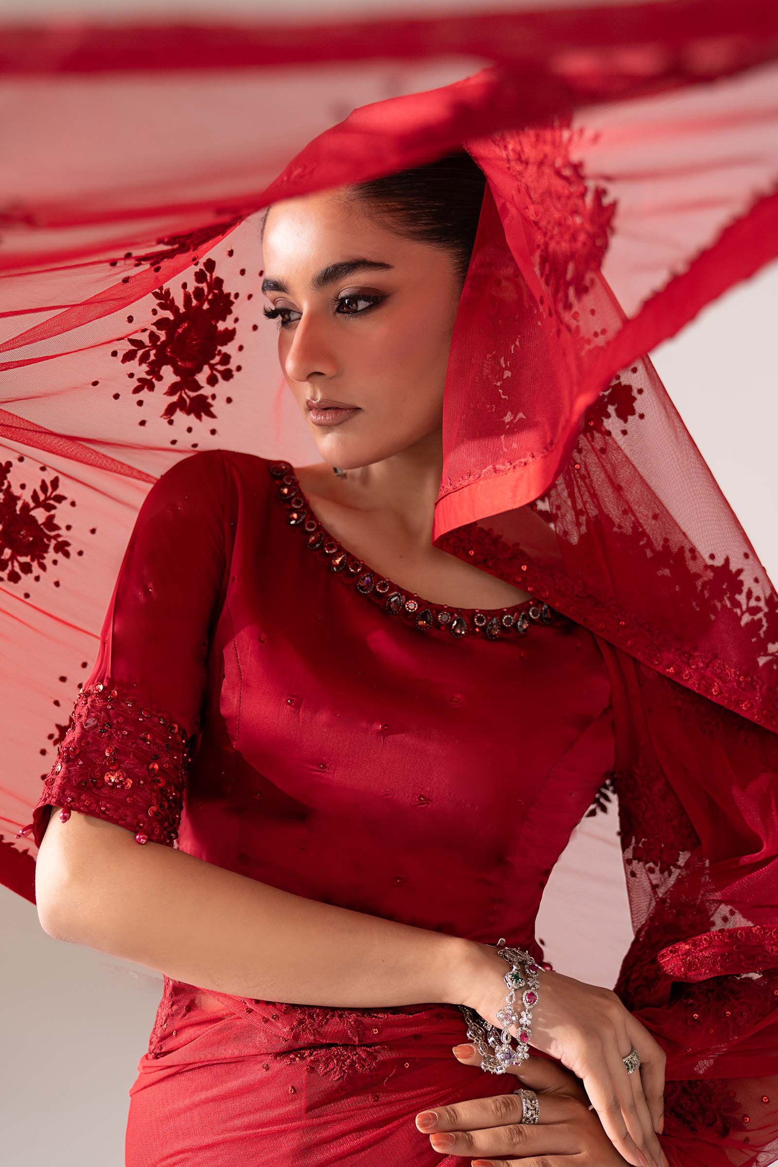 Embroidered Chiffon Saree - Image 4
