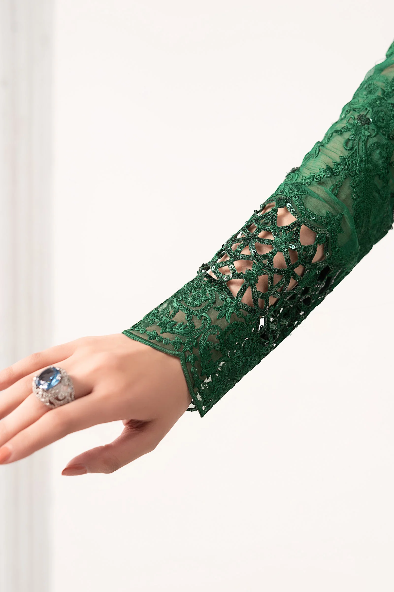Embroidered Chiffon Saree - Image 6