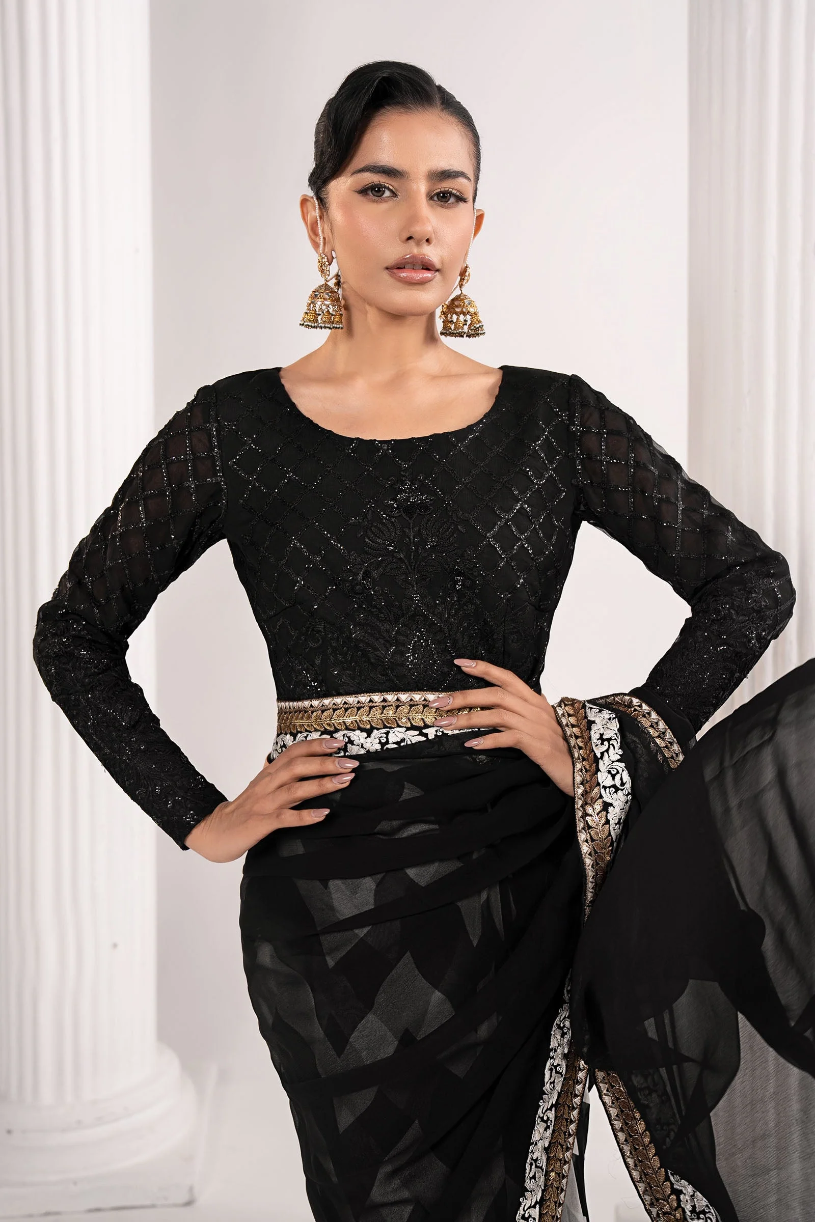 Embroidered Chiffon Saree - Image 4