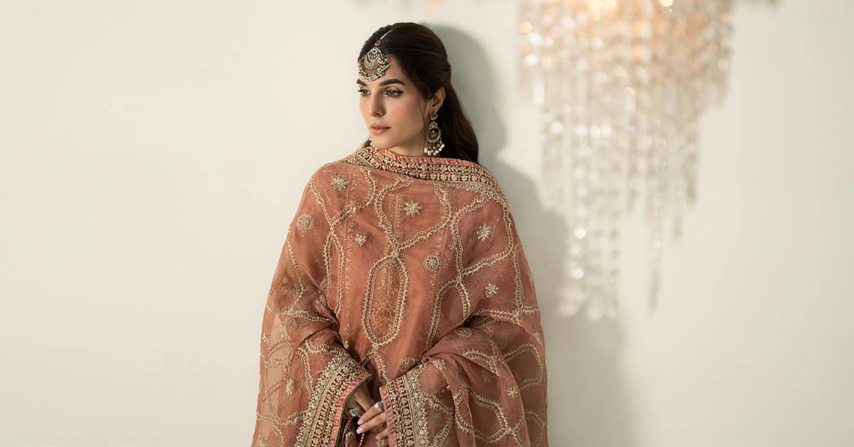 3 Piece Embroidered Zari Net Suit - Image 6