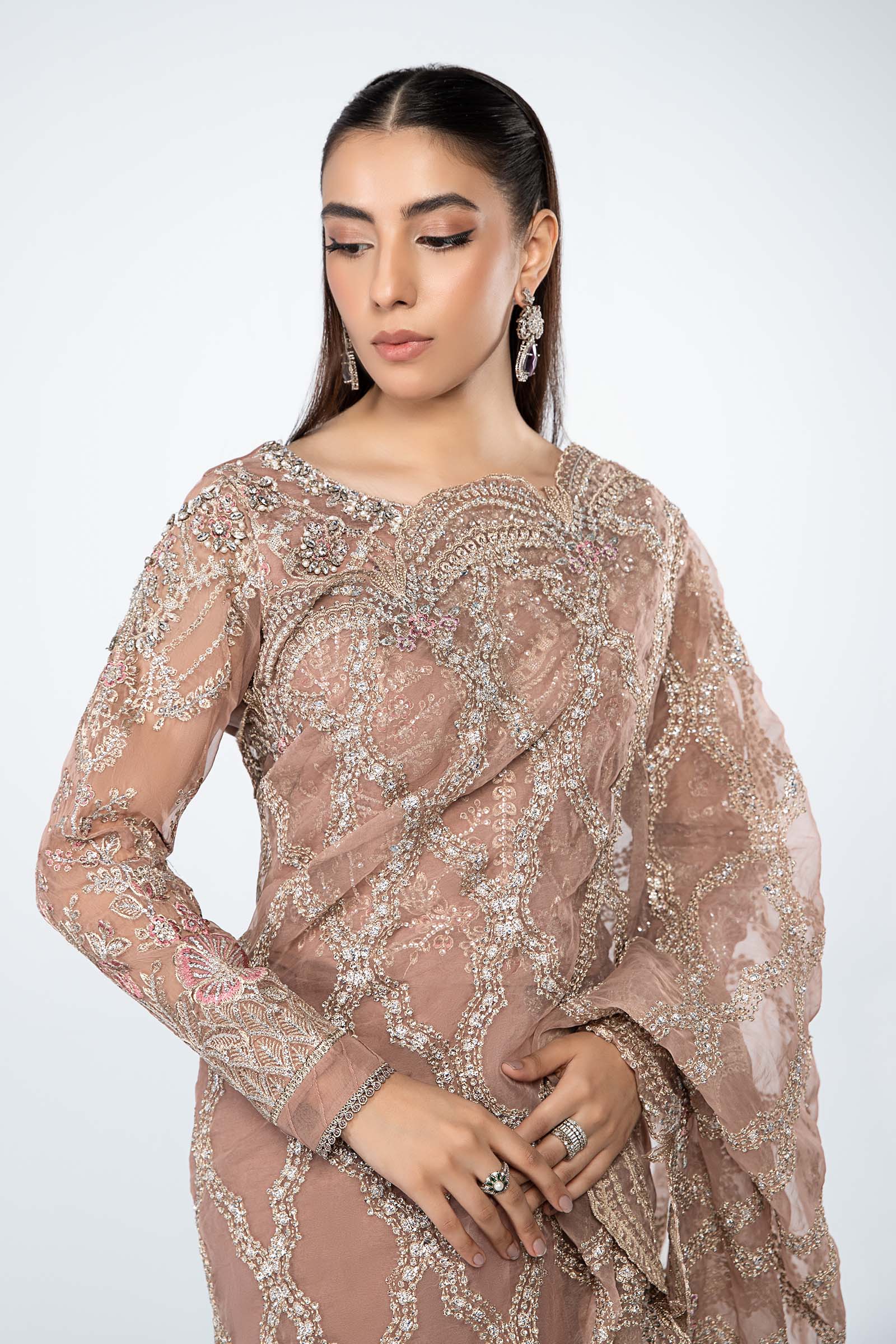 Embroidered Organza Saree - Image 4