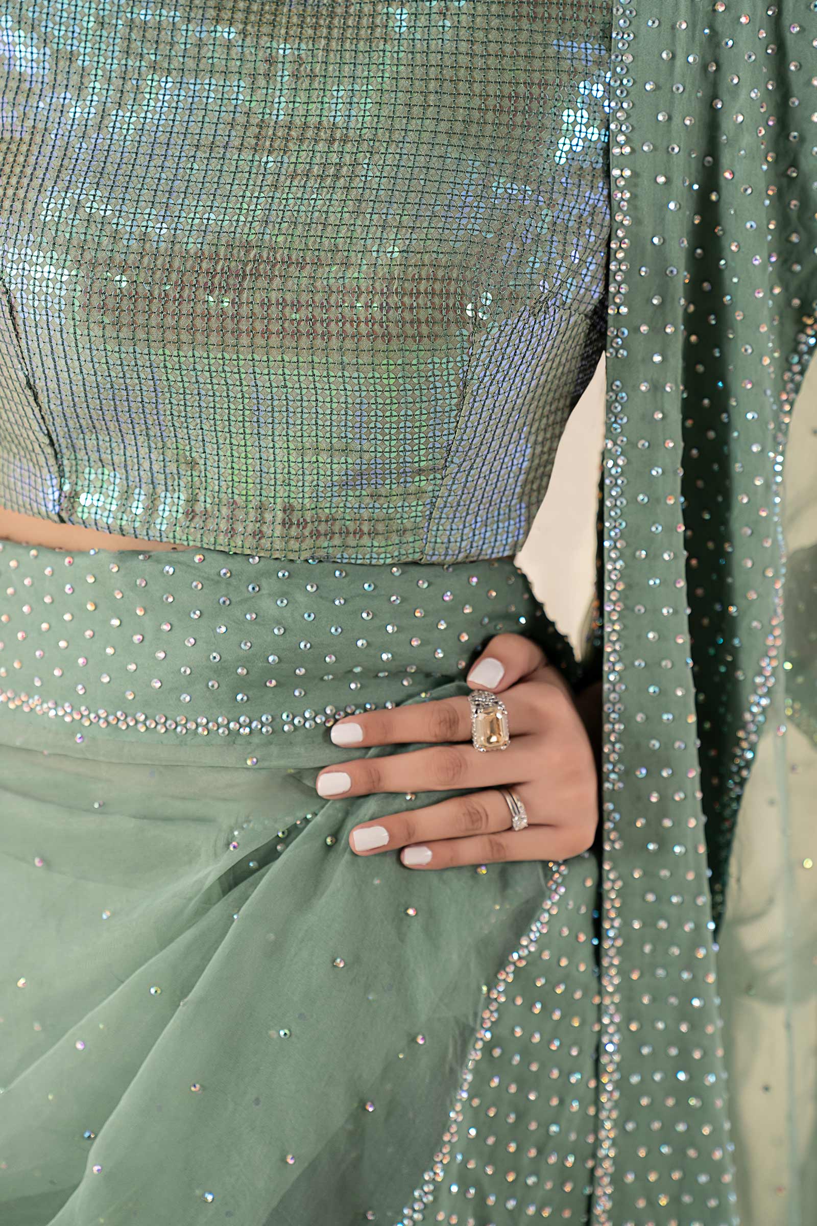 Embellished Organza Saree - Image 5