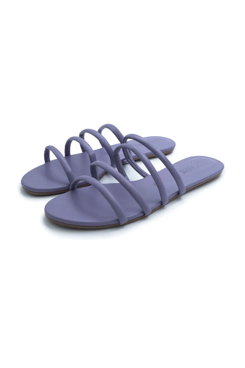 SH-006 Purple - Image 2